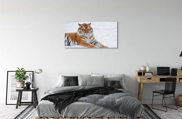Obraz na plátne Tiger winter 100x50 cm