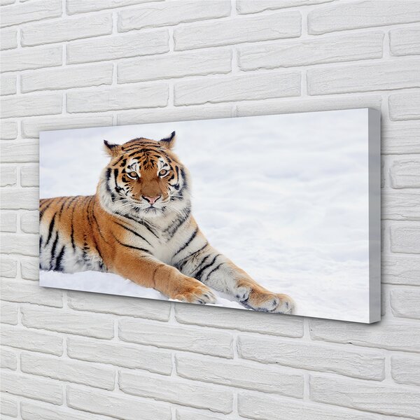Obraz na plátne Tiger winter 100x50 cm