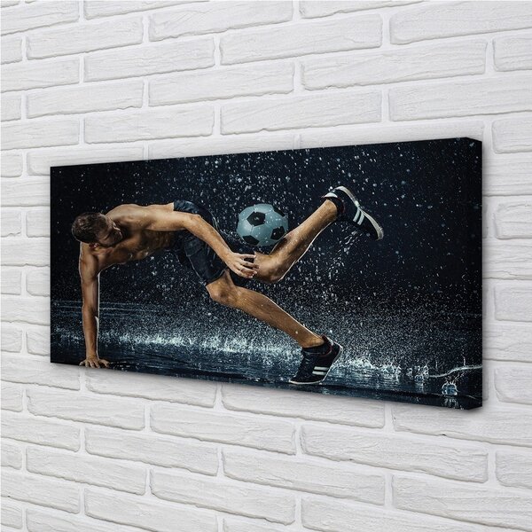 Obraz canvas Lopta Rain Man 100x50 cm