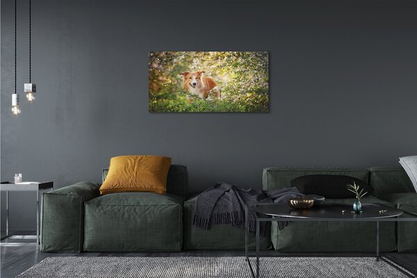Obraz na plátne Psie lesné kvety 100x50 cm
