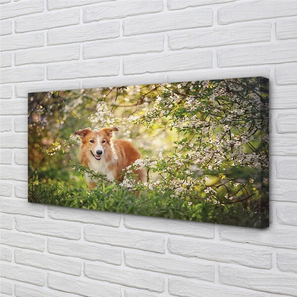 Obraz na plátne Psie lesné kvety 100x50 cm