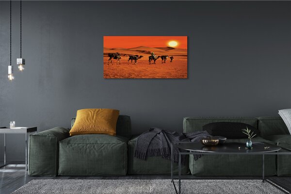 Obraz canvas Ťavy ľudí púštne slnko neba 100x50 cm