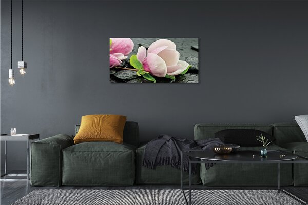 Obraz canvas Magnolia kamene 100x50 cm