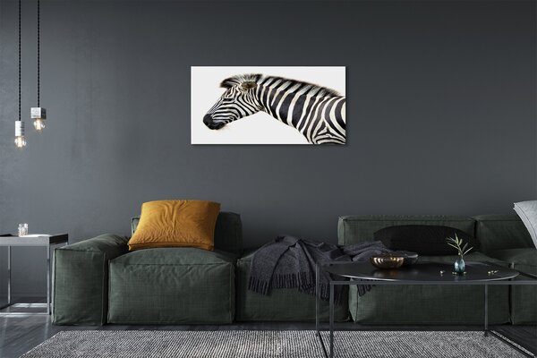 Obraz na plátne zebra 100x50 cm