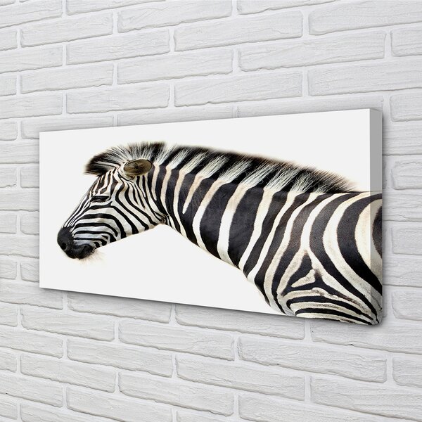 Obraz na plátne zebra 100x50 cm