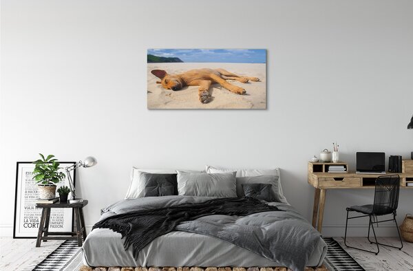Obraz na plátne Ležiaci pes pláž 100x50 cm