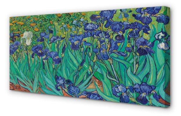 Obraz canvas Umenie kvety dúhovky 100x50 cm