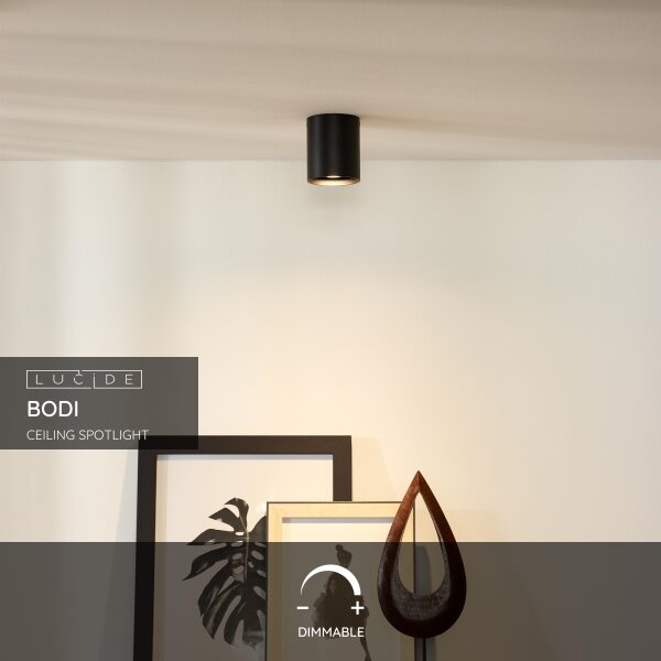 Lucide 09100/01/30 - Bodové svietidlo BODI 1xGU10/50W/230V