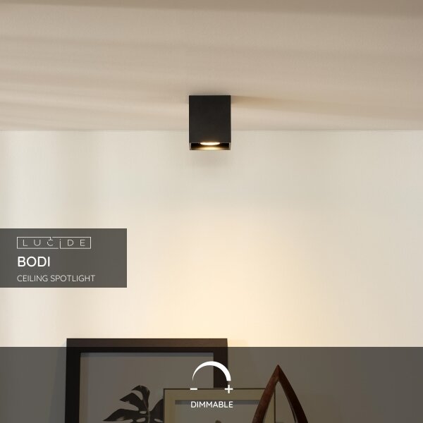 Lucide 09101/01/30 - Bodové svietidlo BODI 1xGU10/50W/230V