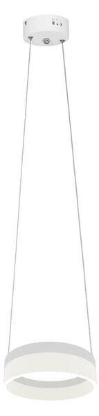 LED Luster na lanku RING LED/12W/230V