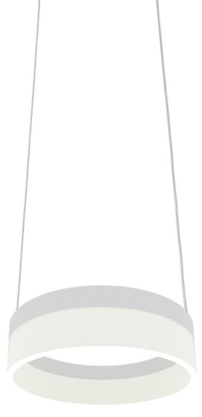 LED Luster na lanku RING LED/12W/230V