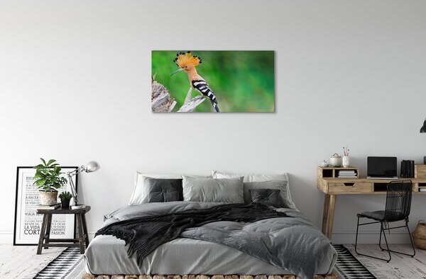 Obraz na plátne Strom farebný papagáj 100x50 cm