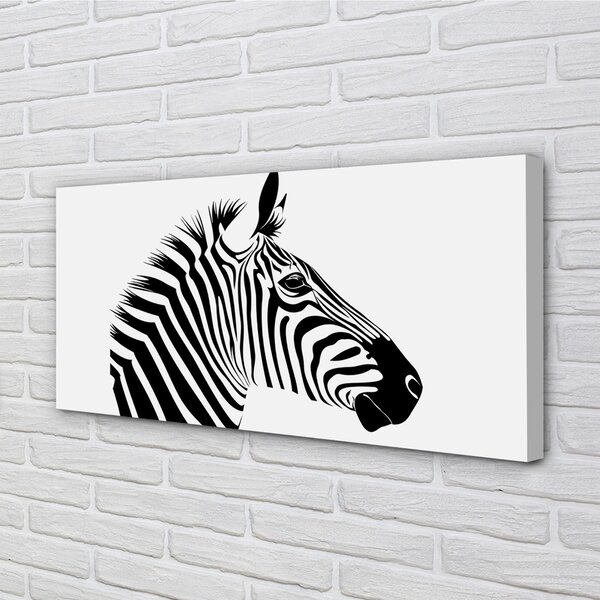 Obraz na plátne ilustrácie zebra 100x50 cm