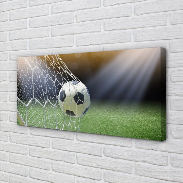 Obraz canvas Futbalový štadión 100x50 cm