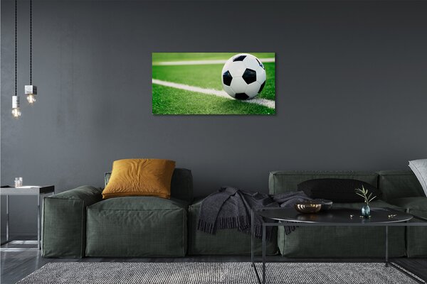 Obraz canvas futbalový trávnik 100x50 cm