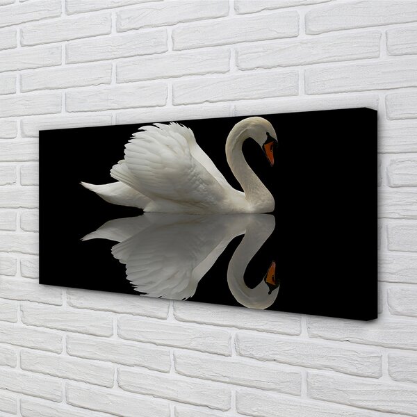 Obraz na plátne Swan v noci 100x50 cm