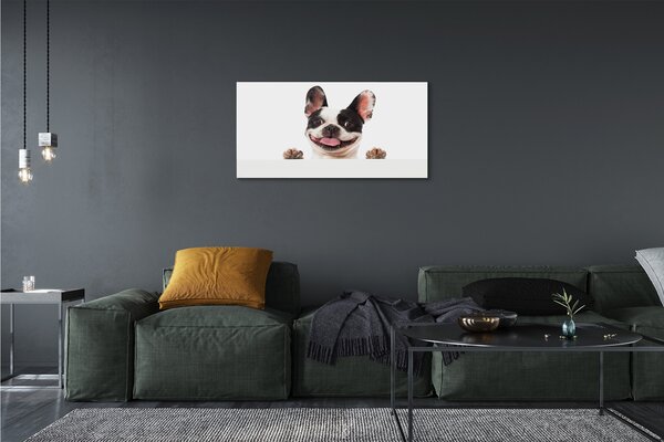 Obraz na plátne pes 100x50 cm