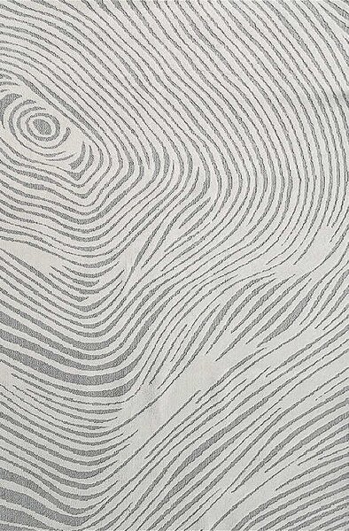 TZ Sivý obdĺžnikový pruhovaný koberec Strado Polo Cloud vzor zebra Rozmer: 120x170 cm