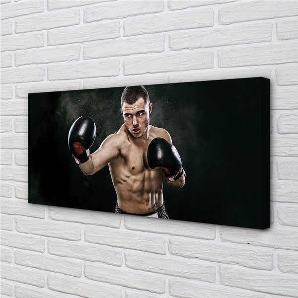 Obraz canvas Mužské prstové rukavice 100x50 cm