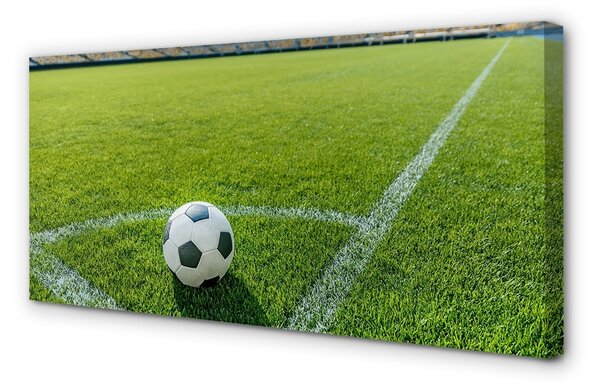 Obraz canvas Futbalový štadión trávy 100x50 cm