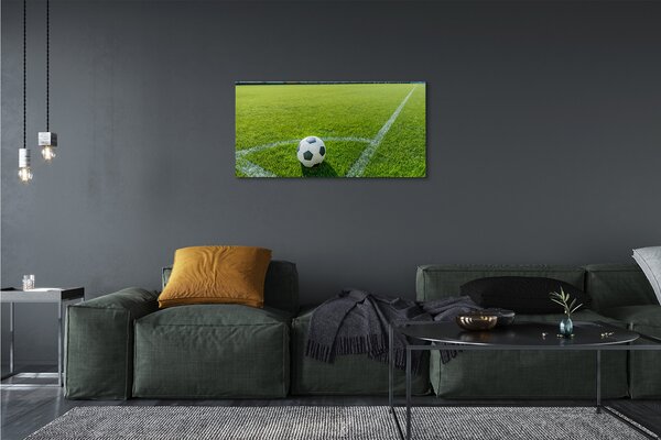 Obraz canvas Futbalový štadión trávy 100x50 cm