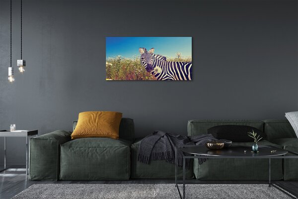 Obraz na plátne zebra kvety 100x50 cm