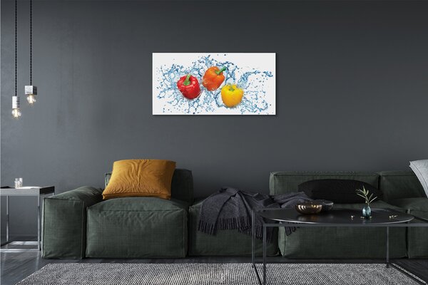 Obraz canvas korenie voda 100x50 cm