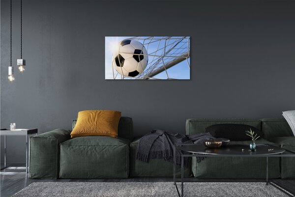 Obraz canvas Lopta mriežka neba 100x50 cm