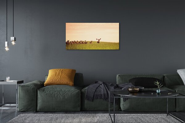 Obraz na plátne Stádo jeleňov poľa svitania 100x50 cm