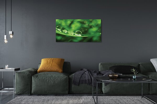 Obraz canvas Vodné kvapky makro 100x50 cm