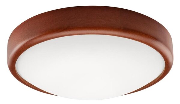 LED Stropné svietidlo LED/12W/230V