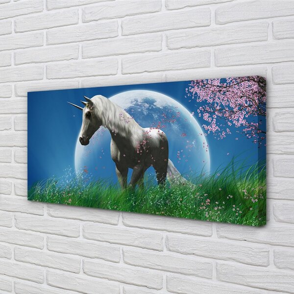 Obraz na plátne Pole jednorožec moon 100x50 cm