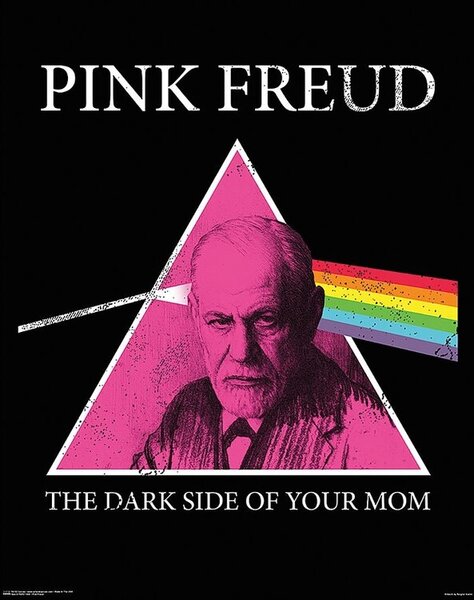 Plagát, Obraz - Pink Freud - Dark Side of your Mom, (61 x 76.5 cm)