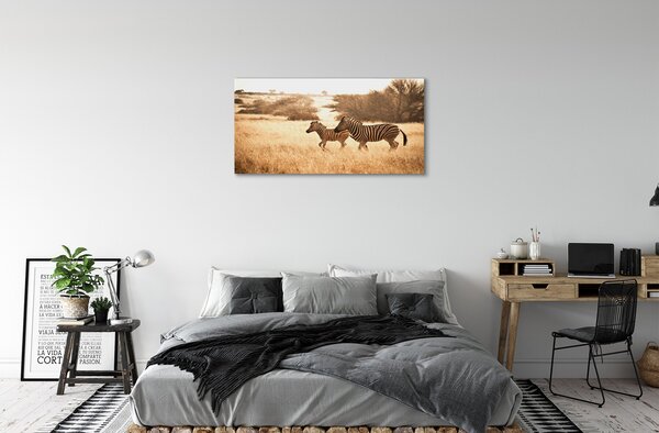 Obraz na plátne Zebra poľa sunset 100x50 cm