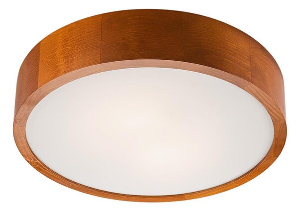 LED stropné svietidlo LED/24W/230V