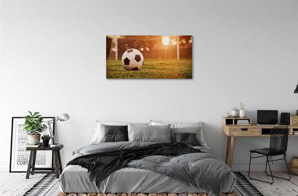 Obraz canvas Lopta slnko gate 100x50 cm