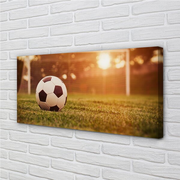 Obraz canvas Lopta slnko gate 100x50 cm