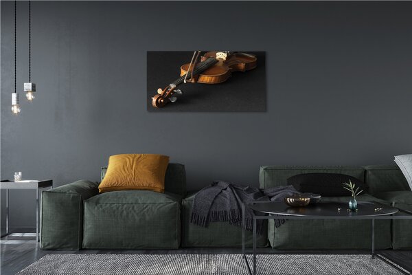Obraz canvas husle 100x50 cm
