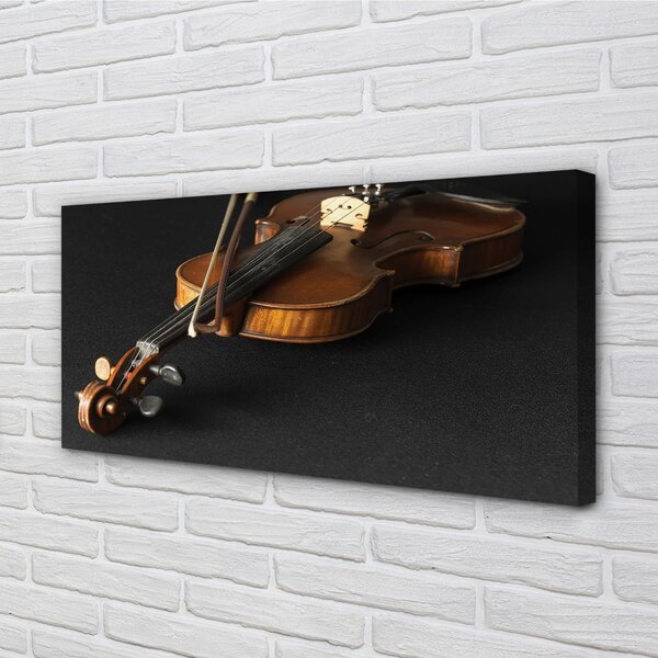 Obraz canvas husle 100x50 cm
