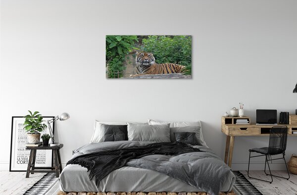 Obraz na plátne Tiger Woods 100x50 cm