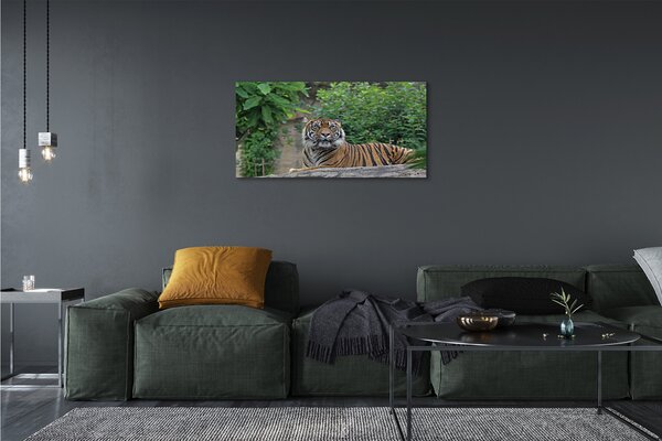 Obraz na plátne Tiger Woods 100x50 cm