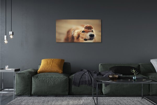 Obraz na plátne dog bun 100x50 cm