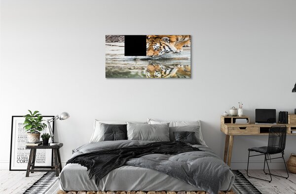 Obraz na plátne tiger pitie 100x50 cm