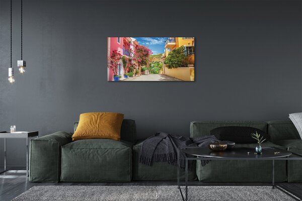 Obraz na plátne Grécko kvety budovy hore 100x50 cm