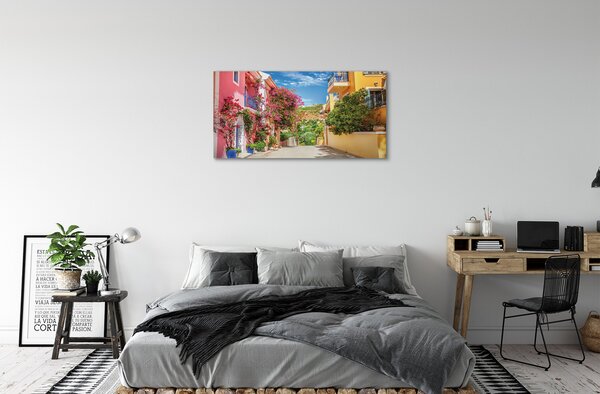 Obraz na plátne Grécko kvety budovy hore 100x50 cm