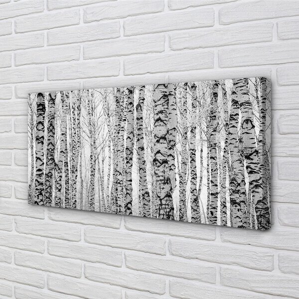 Obraz canvas Čierna a biela breza 100x50 cm