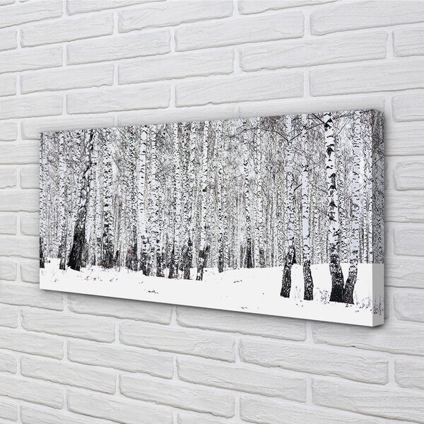 Obraz canvas zimný brezy 100x50 cm