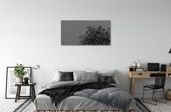 Obraz canvas Poznámky 100x50 cm