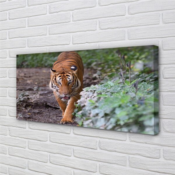Obraz na plátne Tiger Woods 100x50 cm