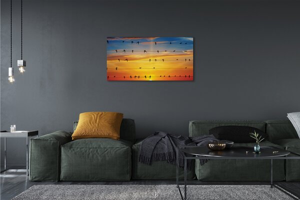 Obraz na plátne Vtáky na lanách západu slnka 100x50 cm